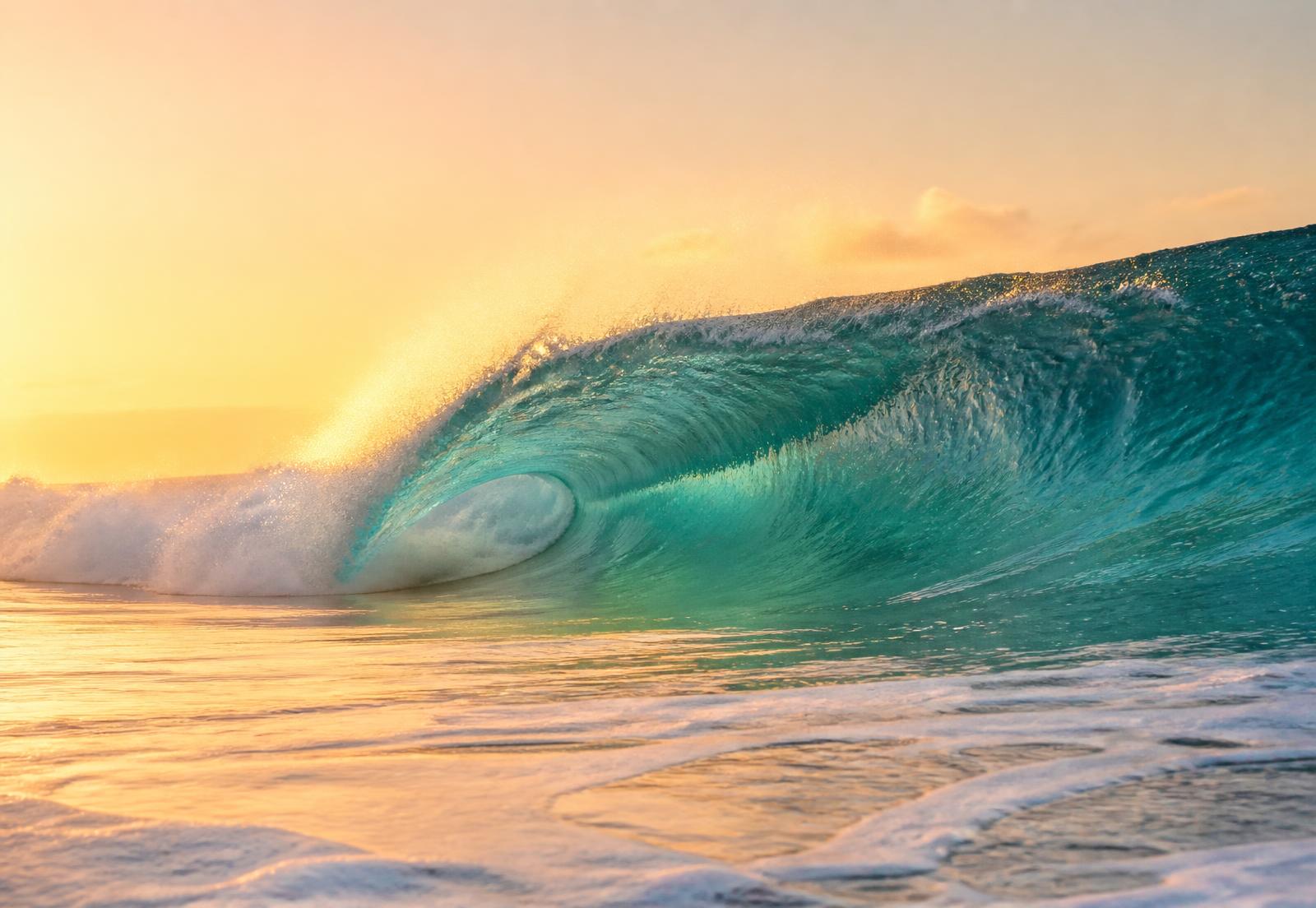 Empty glassy wave at golden hour